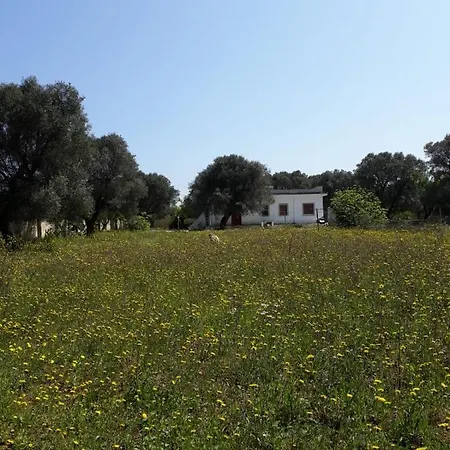 Villa Mathilda By Apulianbnv *