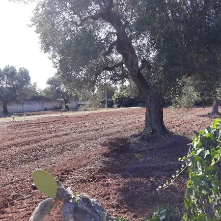 Mathilda By Apulianbnv Serranova